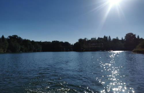 FeWo "Waldblick" und "Gartenblick" mit Pool und Kinderspielplatz - Foto 28