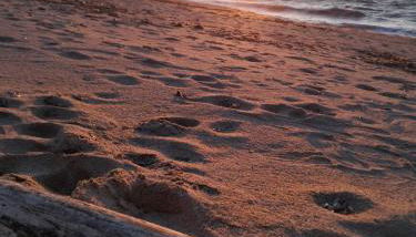 Max house a un passo dal mare - Foto 4