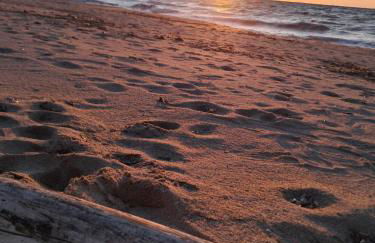 Max house a un passo dal mare - Foto 4