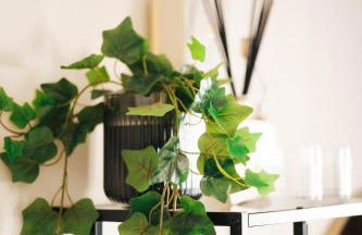 Shiny Mik Super Family Apartment - Photo 66