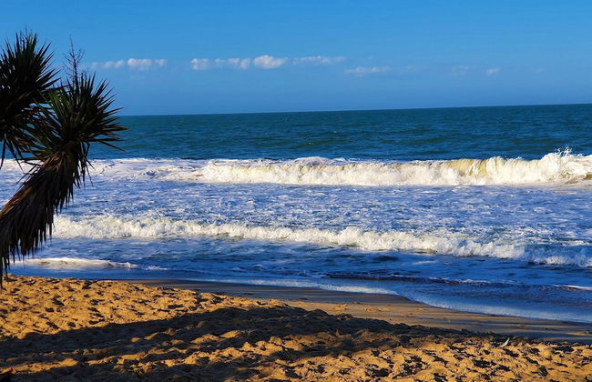 Nautilus Praia dos Corais - Penha - SC - Photo 46