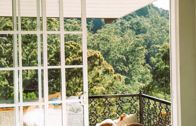 Luxe Wilderness - Foto 3