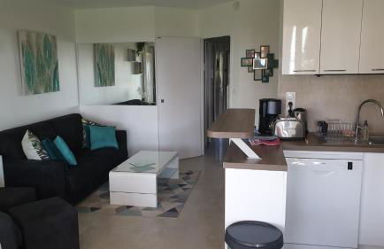 Garden and beach sea view apartment Cannes - Foto 38