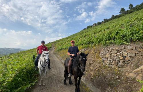 Quinta do Valdalágea - Foto 12