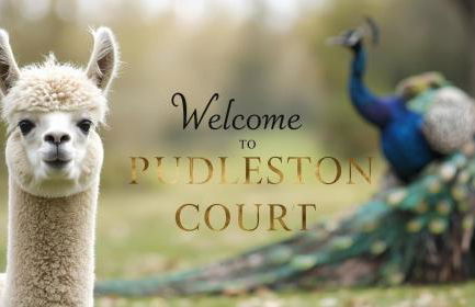 Courtyard Cottage at Pudleston Court - Foto 22