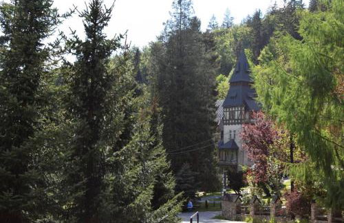 Apartament Śnieżka - Foto 12