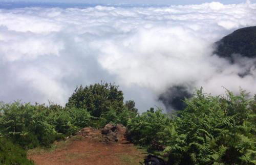 Charming Apartments in Funchal - São Gonçalo - Foto 33