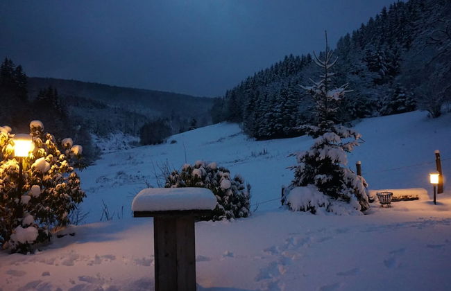 Large House in Winterberg in the Sauerland Region - Foto 58