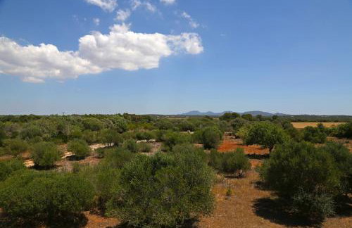 Finca Tiana - Photo 45