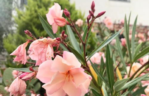 Casa Mediterraneo - Foto 3