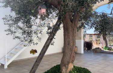 Masseria Causio - Foto 16