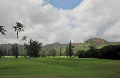 This is Paradise! - Foto 8