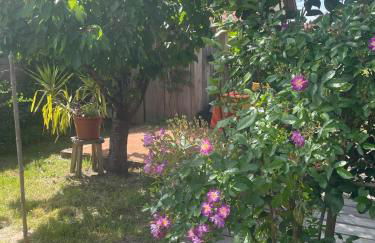 Studio bois avec terrasse et jardin bassin et océan - Foto 22