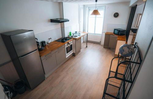 LE PETIT VOLTAIRE - Proche Centre Ville - Spacieux - Foto 5