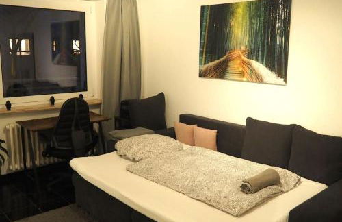 Möblierte Wohnung Nähe BASF Ludwigshafen/Mannheim mit Privatparkplatz - Foto 6