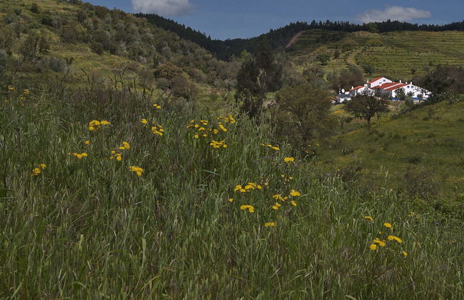 Quinta do Chocalhinho - Foto 24