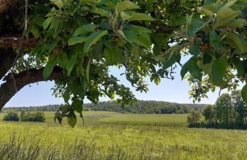 AuszeitOase am sächs. Jakobsweg - Foto 9