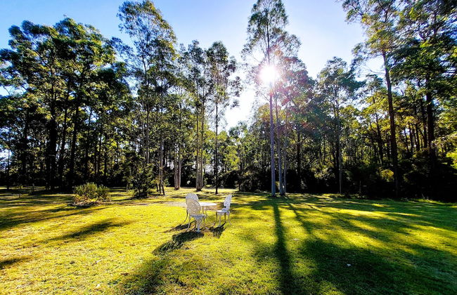 Woodlane Cottages - Foto 59