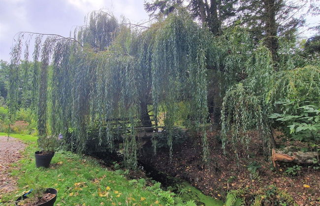 High Quality Chalet in Bucolic Setting, Plouegat-guerand-ex TUI - Foto 16