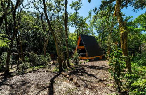 Cabana dos Alpes By Achei - Foto 25