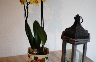 Ferienwohnung Schog - Foto 26