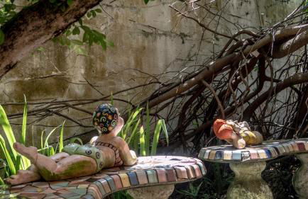 The Wild Rose - Foto 29