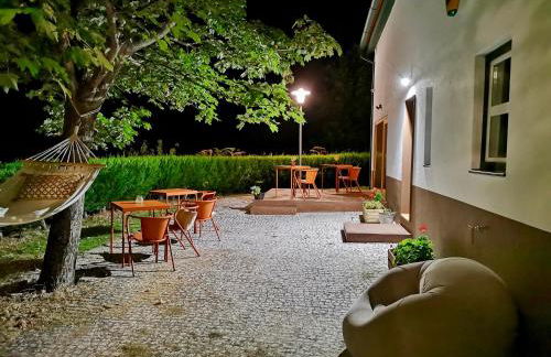 Solar da Castanha - Forest House - Foto 50