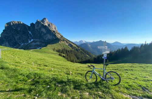 Best Butler Family & Friends mit Hund - Foto 22