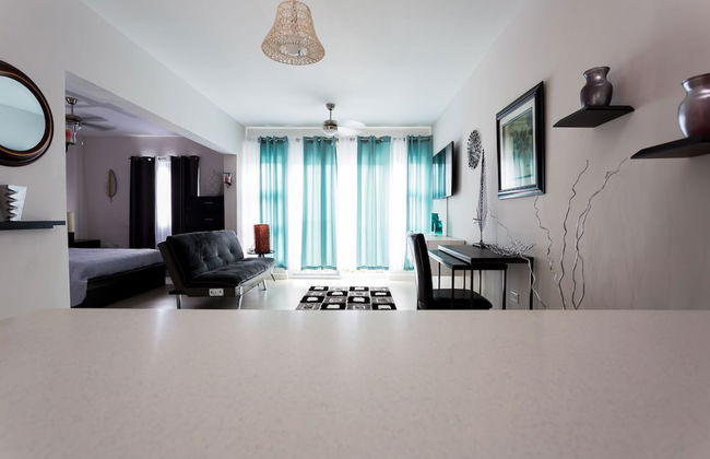 Kingston Luxury Guest Apt at Sullivan - Foto 16