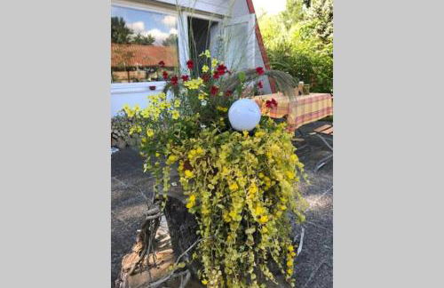 Matilda II - lovely Matilda - Foto 25