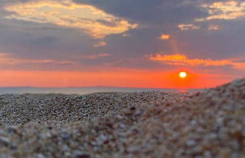 Terra Kotta - Foto 4