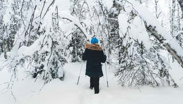 Levi Snowshoe Tour - Foto 2