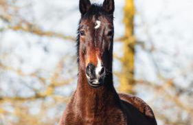 Agriturismo I Leprotti - Photo 11