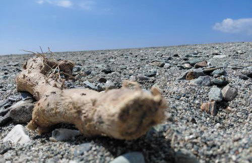 Apartment Sun & Sea - Casa Vacanze Vista Mare - Foto 11