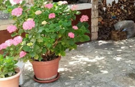 Marvie apartmani - Foto 49