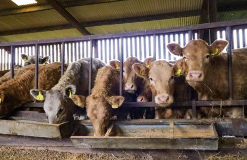 Clegir Bach - Photo 25