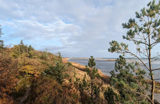 6 Person Holiday Home in Hadsund - Foto 3
