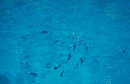 Blue Apartment IUN S0079 - Foto 44