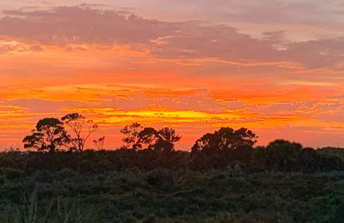 Starfish Wishes - Foto 24