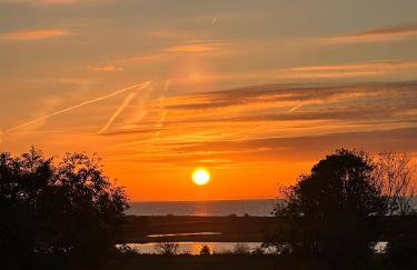 Ferienwohnung-in-Strandnaehe-Schwalbennest-2 - Foto 11