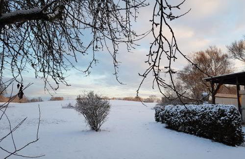 Landpension Zum Schweizerberg - Foto 57