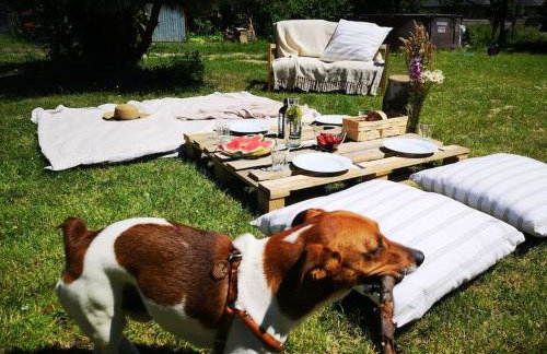 Sielanka Aleksandria - Foto 24