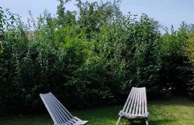 Haus am See - Foto 15