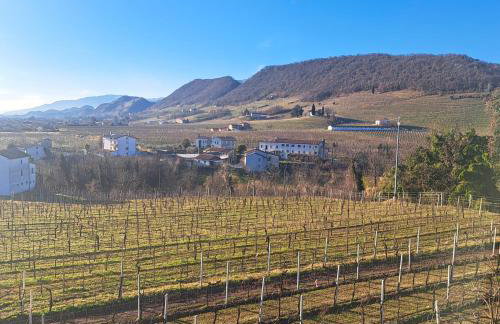 Casadesergio - Photo 51