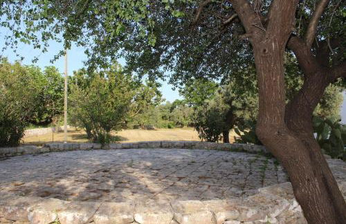 Trulli Donna Gina - Foto 3