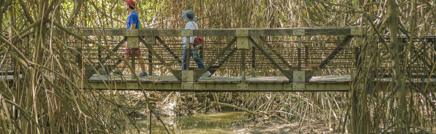 Excursion dans la forêt de Cerro Blanco