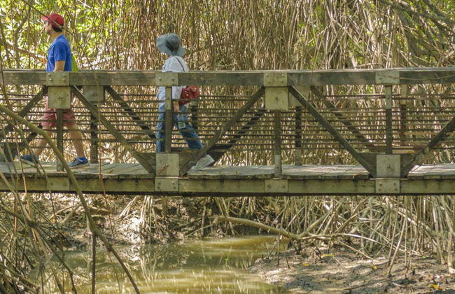 Excursión al bosque Cerro Blanco - Foto 1