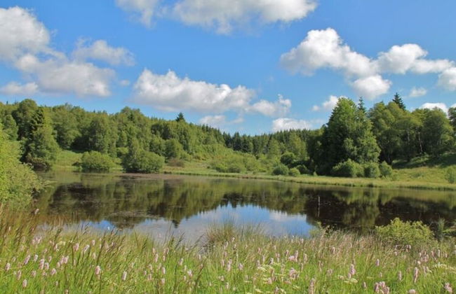 Scenic Villa Near Lake View - Photo 61