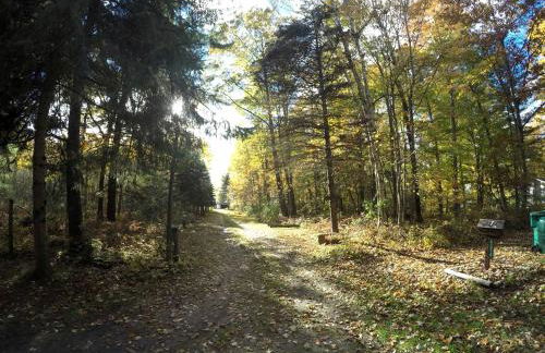 Secluded Lake Cottage Rental with a Dock and a Game Room in Hale, Michigan - Foto 14