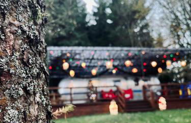 Ayrshire Airstream - Foto 19